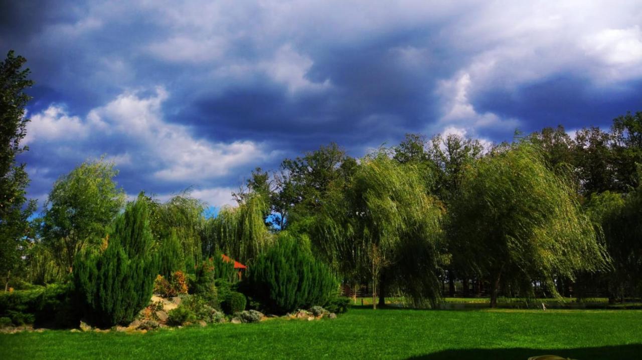 Krasograd Villa Pisarovina Dış mekan fotoğraf